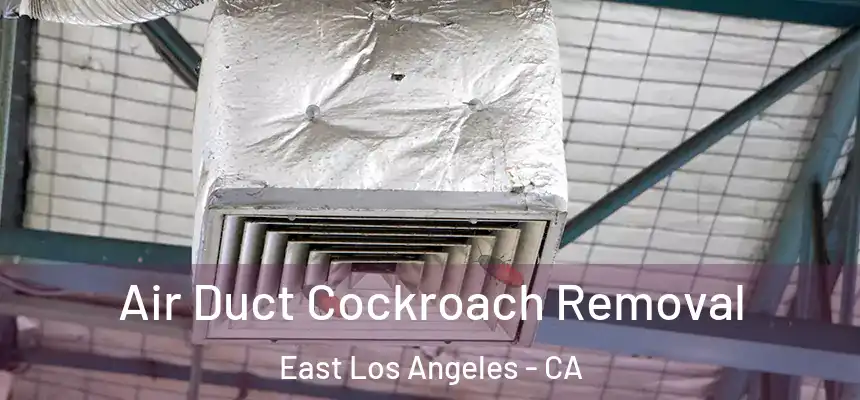 Air Duct Cockroach Removal East Los Angeles - CA