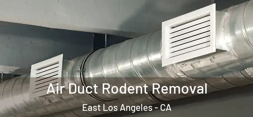  Air Duct Rodent Removal East Los Angeles - CA