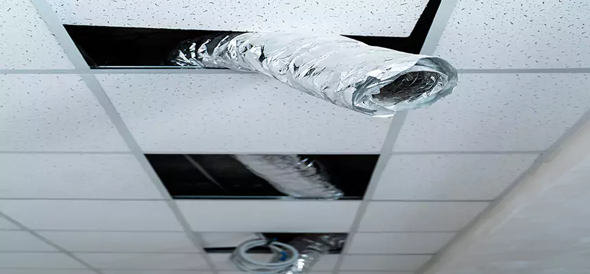 Our Air Duct Pet Hair Removal Services in East Los Angeles, CA