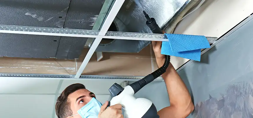Our Air Duct Rodent Removal Services in East Los Angeles, CA