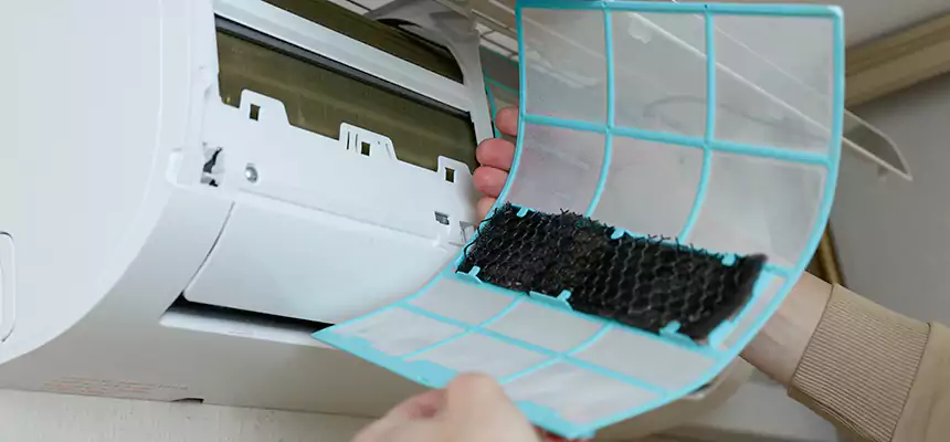 Gentle Ductwork Odor-Control Pet Dander Duct Cleaning in East Los Angeles, CA