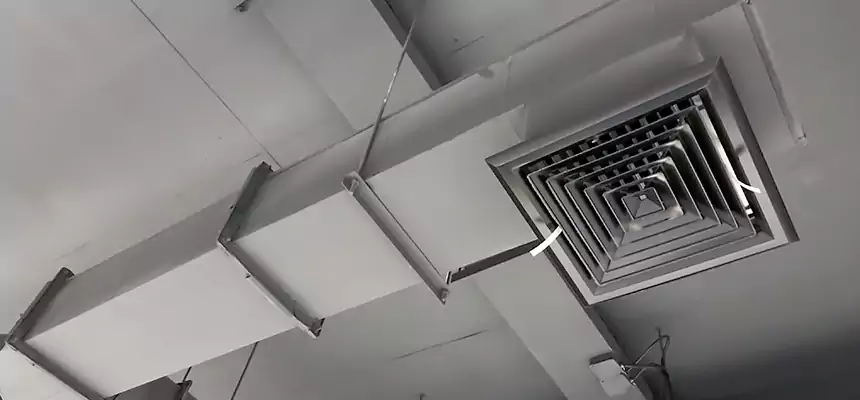 Our Rodent Droppings In Vents Services in East Los Angeles, CA