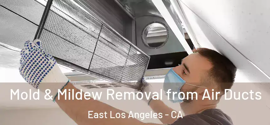  Mold & Mildew Removal from Air Ducts East Los Angeles - CA