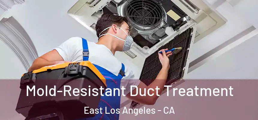  Mold-Resistant Duct Treatment East Los Angeles - CA