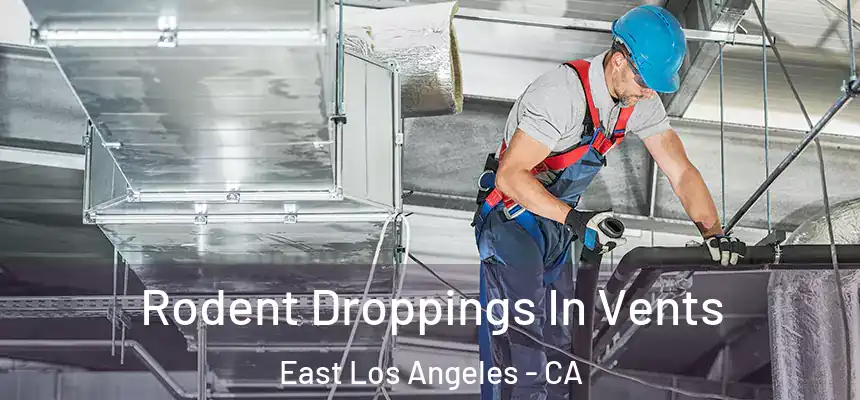  Rodent Droppings In Vents East Los Angeles - CA
