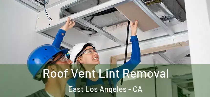  Roof Vent Lint Removal East Los Angeles - CA