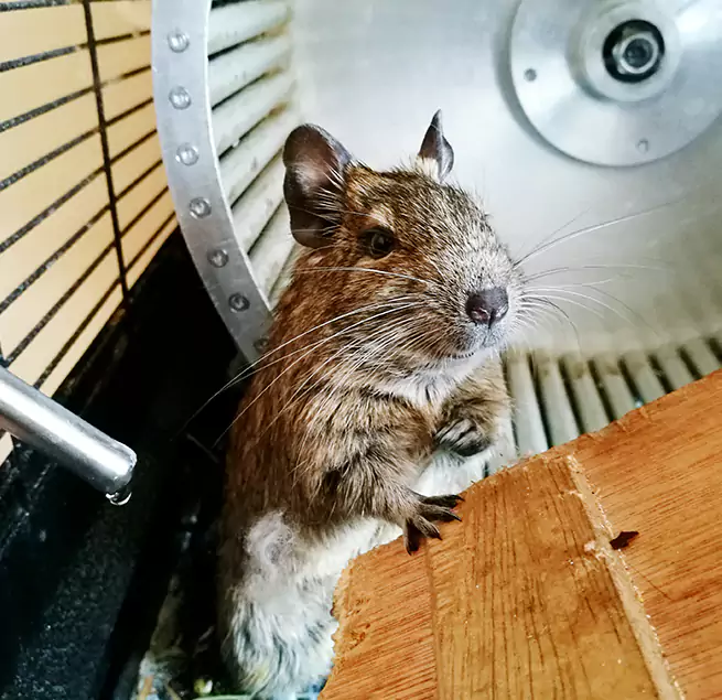 Why Homeowners & Businesses Trust Us East Los Angeles, CA