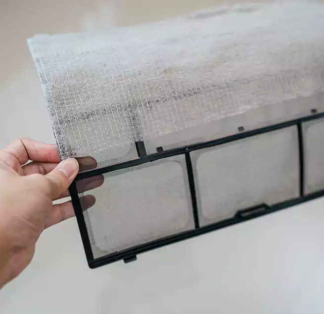 Why Homeowners & Businesses Trust Us in East Los Angeles, CA?