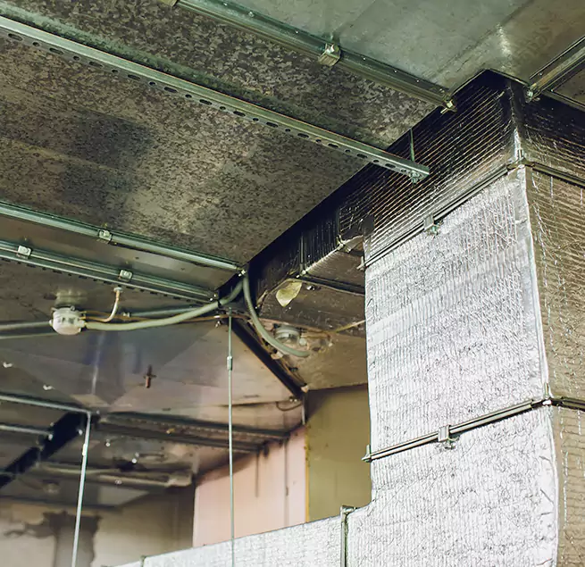 Why Homeowners & Businesses Trust Us in East Los Angeles, CA?